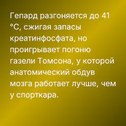 Гепард разгоняется до 41 °C, сжигая запасы креатинфосфата, но проигрывает погоню газели Томсона, у которой анатомический обдув мозга работает лучше, чем у спорткара.