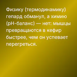 Физику (термодинамику) гепард обманул, а химию (pH-баланс) — нет: мышцы превращаются в кефир быстрее, чем он успевает перегреться.