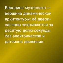 Венерина мухоловка — вершина динамической архитектуры: её двери-капканы закрываются за десятую долю секунды без электричества и датчиков движения.