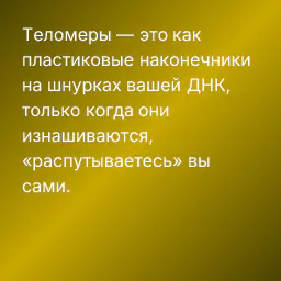 Теломеры — это как пластиковые наконечники на шнурках вашей ДНК, только когда они изнашиваются, «распутываетесь» вы сами.