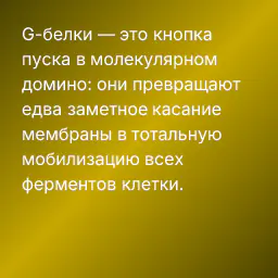 G-белки — это кнопка пуска в молекулярном домино: они превращают едва заметное касание мембраны в тотальную мобилизацию всех ферментов клетки.